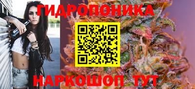 бошки Канаш